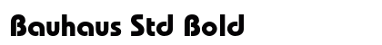 Bauhaus Std Bold Preview