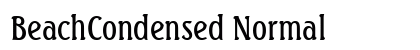 BeachCondensed Normal preview