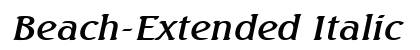 Beach-Extended Italic Preview
