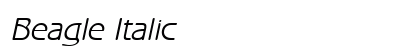 Beagle Italic Preview
