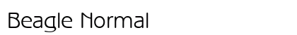 Beagle Normal Preview