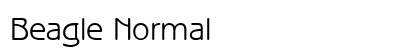 Beagle Normal Preview