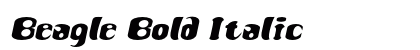 Beagle Bold Italic Preview