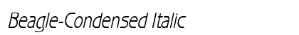 Beagle-Condensed Italic Preview
