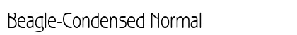 Beagle-Condensed Normal preview