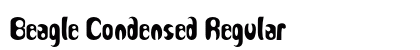 Beagle Condensed Regular Preview