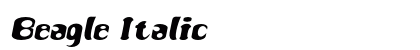 Beagle Italic Preview