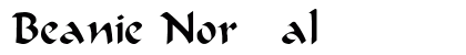 Beanie Normal preview