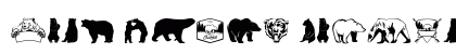 Bear Icons Regular preview