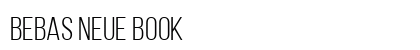 Bebas Neue Book Preview