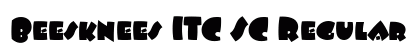 Beesknees ITC SC Regular preview