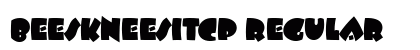 BeeskneesItcP Regular preview