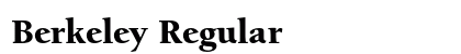 Berkeley Regular Preview