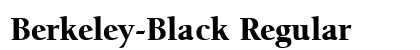 Berkeley-Black Regular preview