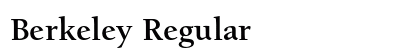 Berkeley Regular Preview