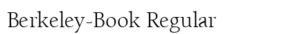 Berkeley-Book Regular preview