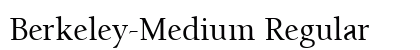 Berkeley-Medium Regular preview