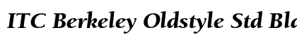 ITC Berkeley Oldstyle Std Black Italic Preview