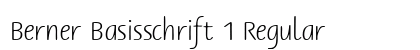 Berner Basisschrift 1 Regular preview
