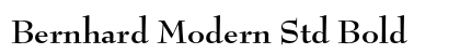 Bernhard Modern Std Bold preview