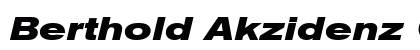 Berthold Akzidenz Grotesk BE Regular Preview