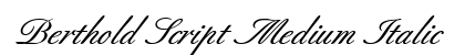 Berthold Script Medium Italic Preview
