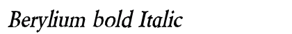 Berylium bold Italic Preview