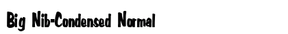 Big Nib-Condensed Normal preview