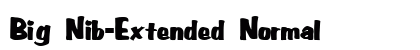 Big Nib-Extended Normal preview