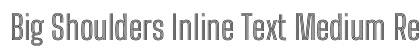Big Shoulders Inline Text Medium Regular preview