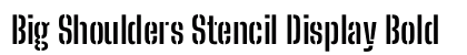 Big Shoulders Stencil Display Bold preview