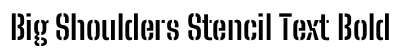 Big Shoulders Stencil Text Bold preview
