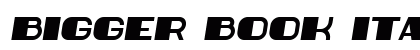 Bigger Book Italic Preview