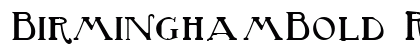 BirminghamBold Regular preview