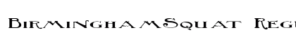 BirminghamSquat Regular preview