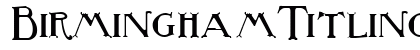 BirminghamTitlingBold Regular preview