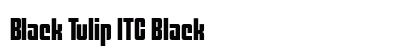 Black Tulip ITC Black Preview