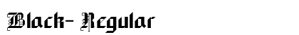 Black- Regular preview
