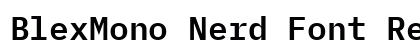 BlexMono Nerd Font Regular Preview