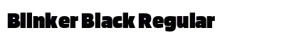 Blinker Black Regular preview