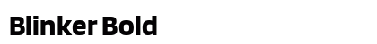 Blinker Bold preview