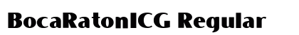 BocaRatonICG Regular Preview