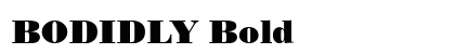 BODIDLY Bold preview
