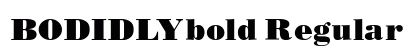 BODIDLYbold Regular preview
