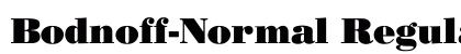 Bodnoff-Normal Regular preview