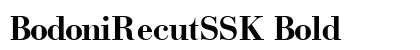 BodoniRecutSSK Bold Preview