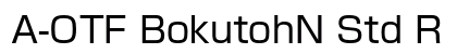A-OTF BokutohN Std R preview