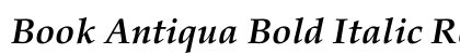 Book Antiqua Bold Italic Regular preview