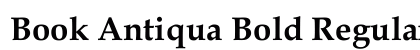 Book Antiqua Bold Regular preview