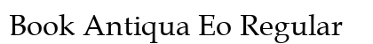 Book Antiqua Eo Regular Preview